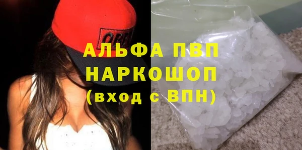 сатива Нефтекумск
