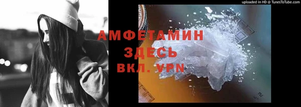 сатива Нефтекумск