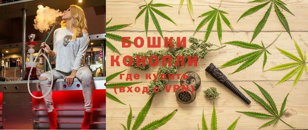 сатива Нефтекумск