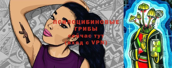 сатива Нефтекумск